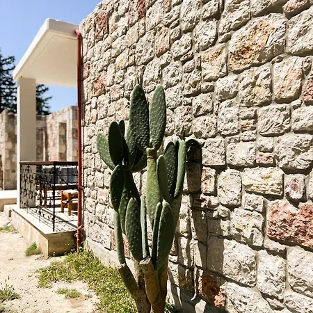 Tropical Garden Rhodes Faliraki