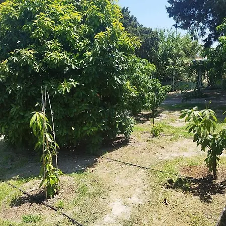 Tropical Garden Rhodes Faliraki