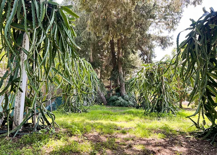 Tropical Garden Rhodes *