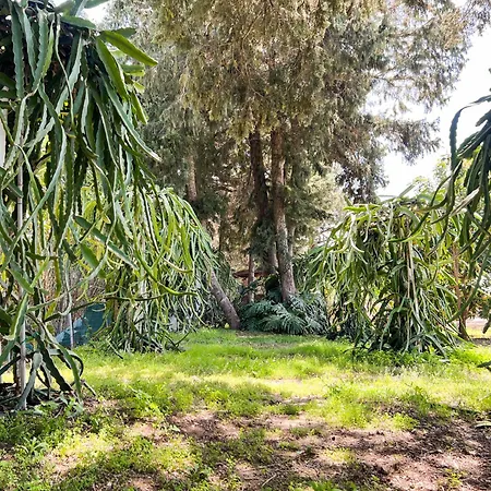 Tropical Garden Rhodes *