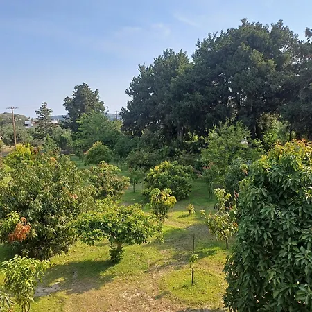 公寓 Tropical Garden Rhodes 法里拉基