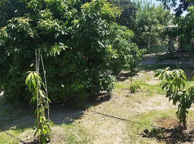 Tropical Garden Rhodes فاليراكي